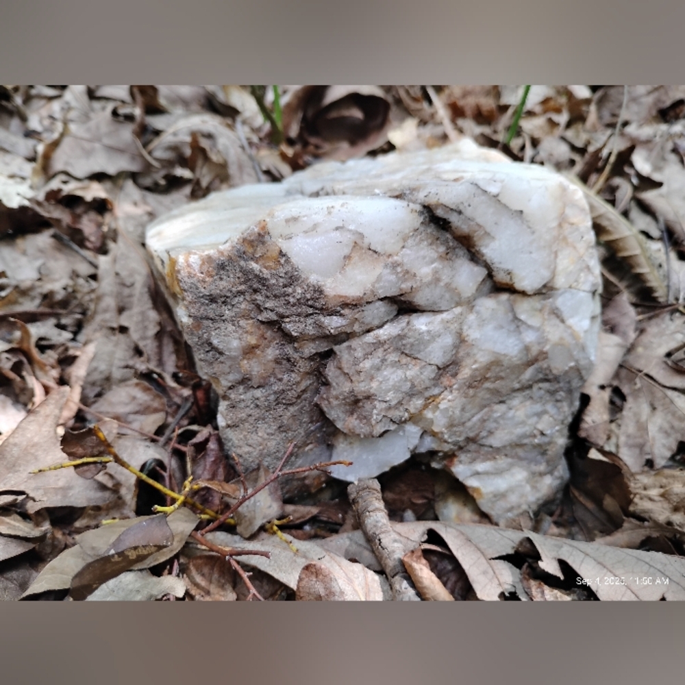 Raw Appalachian Quartz, IN SITU